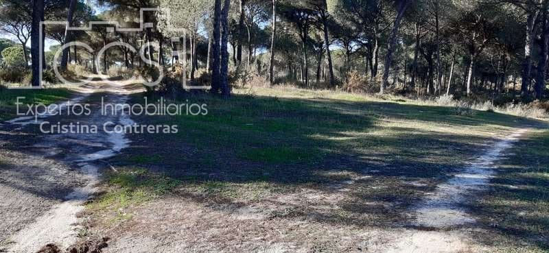 1 soveværelse Finca/Landehus til salg i Almonte - € 38.000 (Ref: 6566991)