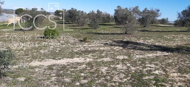 1 camera da letto Finca/Casa di Campagna in vendita in Almonte - 38.000 € (Rif: 6566991)