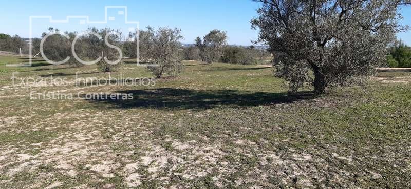 1 soveværelse Finca/Landehus til salg i Almonte - € 38.000 (Ref: 6566991)