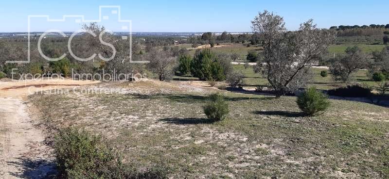 1 bedroom Finca/Country House for sale in Almonte - € 38,000 (Ref: 6566991)