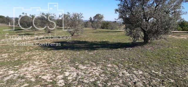 1 slaapkamer Finca/Landhuis te koop in Almonte - € 38.000 (Ref: 6566991)