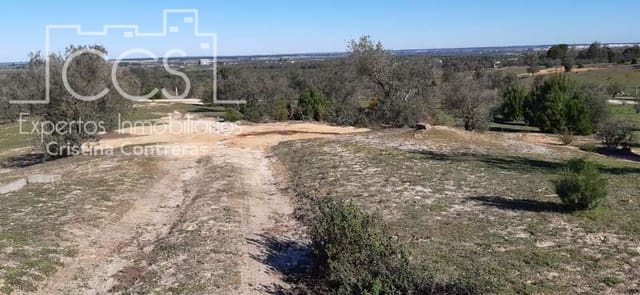 1 slaapkamer Finca/Landhuis te koop in Almonte - € 38.000 (Ref: 6566991)