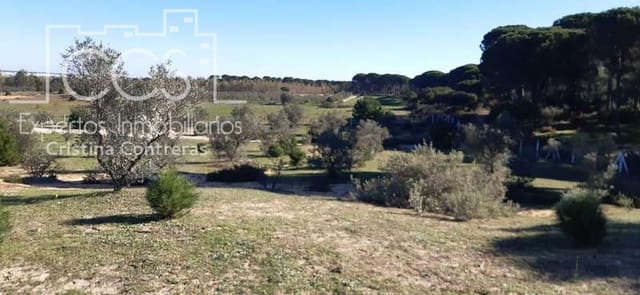 1 slaapkamer Finca/Landhuis te koop in Almonte - € 38.000 (Ref: 6566991)