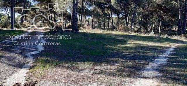 1 slaapkamer Finca/Landhuis te koop in Almonte - € 38.000 (Ref: 6566991)