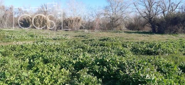 Building Plot for sale in Almonte - € 55,000 (Ref: 6637380)