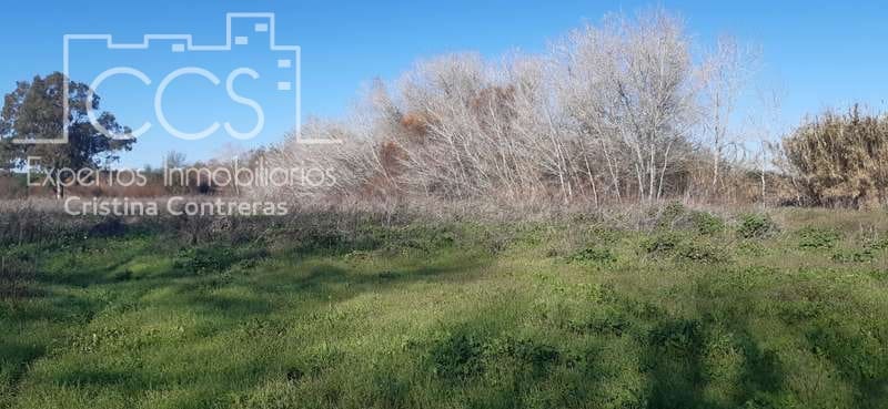 Terrain à Bâtir à vendre à Almonte - 55 000 € (Ref: 6637380)