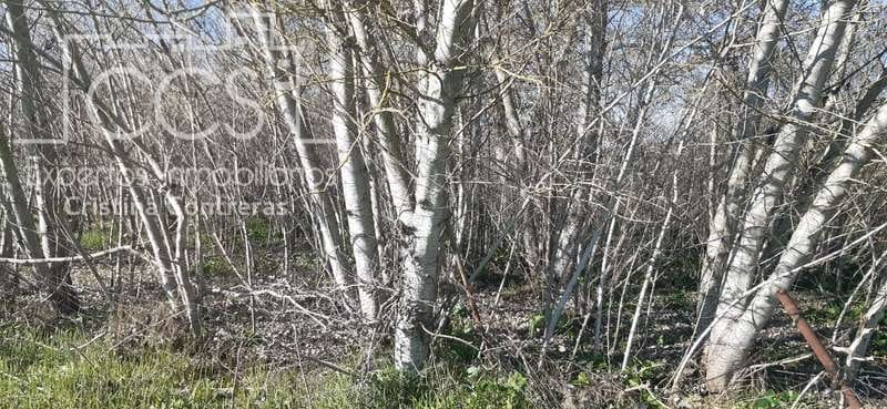 Terrain à Bâtir à vendre à Almonte - 55 000 € (Ref: 6637380)