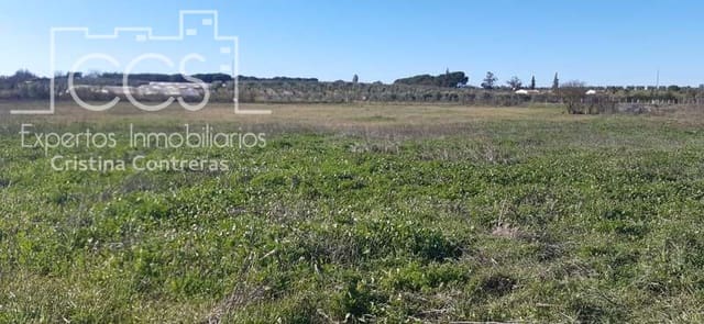 Building Plot for sale in Almonte - € 55,000 (Ref: 6637380)