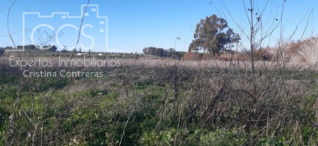 Building Plot for sale in Almonte - € 55,000 (Ref: 6637380)