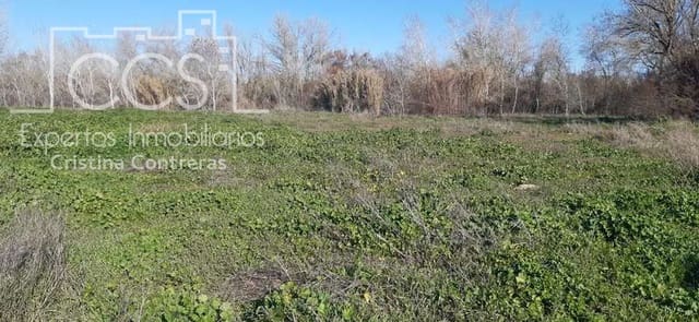 Building Plot for sale in Almonte - € 55,000 (Ref: 6637380)