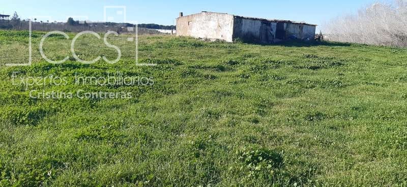 Terrain à Bâtir à vendre à Almonte - 55 000 € (Ref: 6637380)