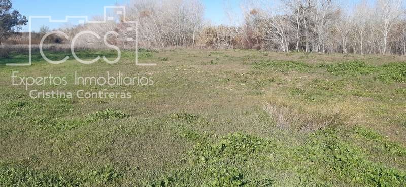 Terrain à Bâtir à vendre à Almonte - 55 000 € (Ref: 6637380)