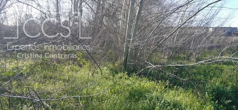 Terrain à Bâtir à vendre à Almonte - 55 000 € (Ref: 6637380)