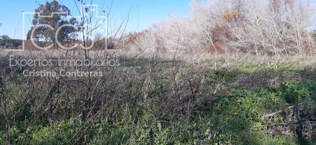 Building Plot for sale in Almonte - € 55,000 (Ref: 6637380)