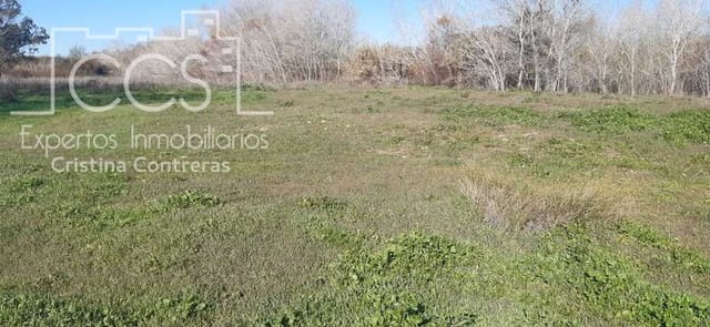 Area Edificabile in vendita in Almonte - 55.000 € (Rif: 6637380)