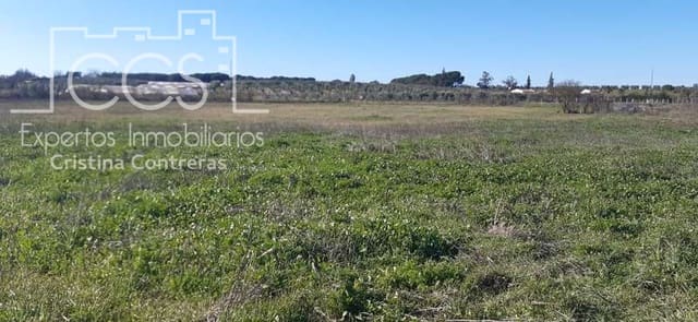 Area Edificabile in vendita in Almonte - 55.000 € (Rif: 6637380)