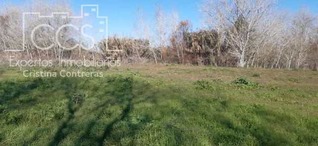 Area Edificabile in vendita in Almonte - 55.000 € (Rif: 6637380)