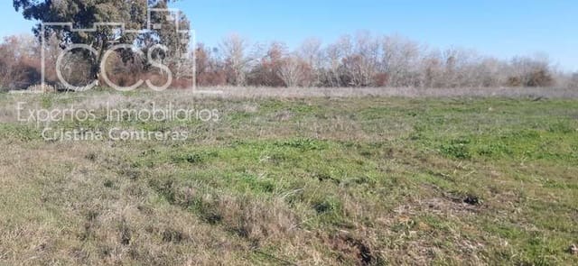 Area Edificabile in vendita in Almonte - 55.000 € (Rif: 6637380)