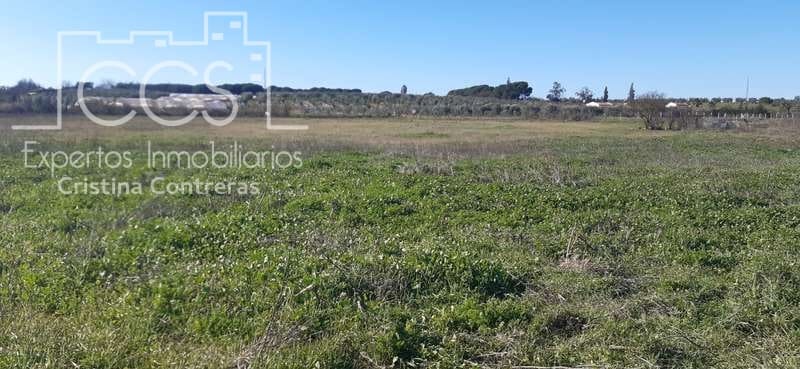 Tomt till salu i Almonte - 55 000 € (Ref: 6637380)