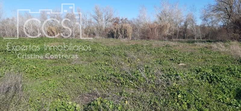 Tomt till salu i Almonte - 55 000 € (Ref: 6637380)