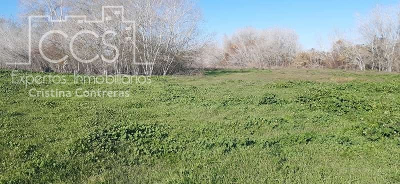 Tomt till salu i Almonte - 55 000 € (Ref: 6637380)