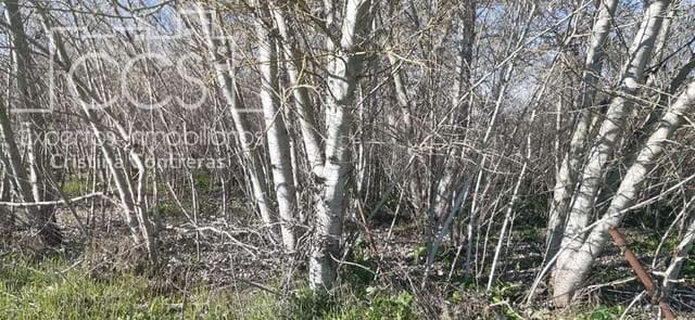 Byggegrund til salg i Almonte - € 55.000 (Ref: 6637380)