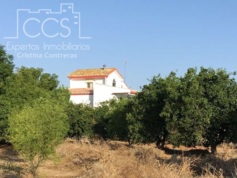 7 sypialnia Finka/Dom wiejski na sprzedaż w Villanueva del Ariscal z basenem garażem - 399 500 € (Ref: 6692864)