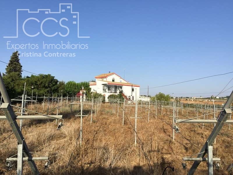 7 sypialnia Finka/Dom wiejski na sprzedaż w Villanueva del Ariscal z basenem garażem - 399 500 € (Ref: 6692864)