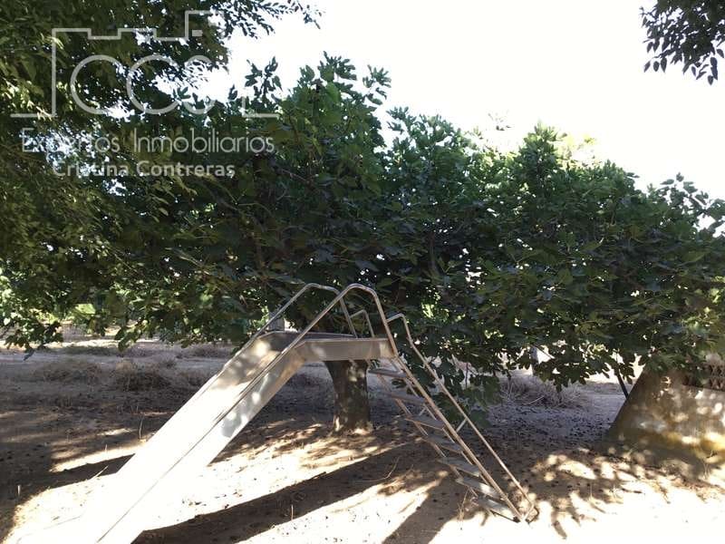 7 sypialnia Finka/Dom wiejski na sprzedaż w Villanueva del Ariscal z basenem garażem - 399 500 € (Ref: 6692864)