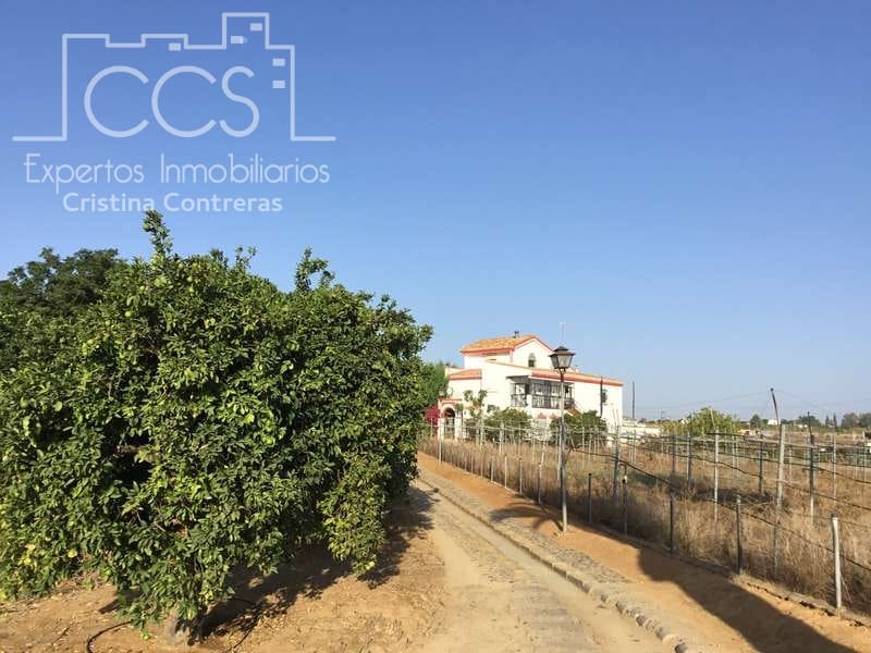 7 sypialnia Finka/Dom wiejski na sprzedaż w Villanueva del Ariscal z basenem garażem - 399 500 € (Ref: 6692864)