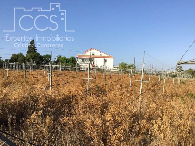 7 sypialnia Finka/Dom wiejski na sprzedaż w Villanueva del Ariscal z basenem garażem - 399 500 € (Ref: 6692864)