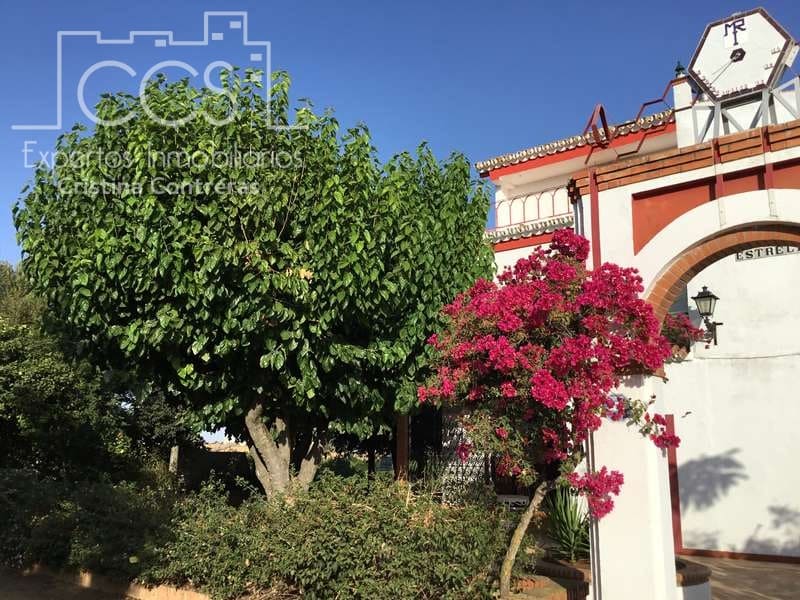 7 sypialnia Finka/Dom wiejski na sprzedaż w Villanueva del Ariscal z basenem garażem - 399 500 € (Ref: 6692864)