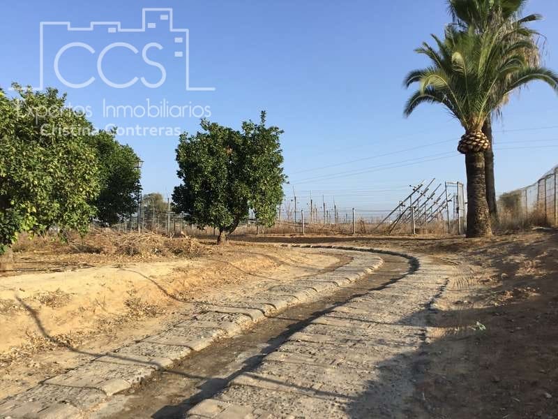 7 sypialnia Finka/Dom wiejski na sprzedaż w Villanueva del Ariscal z basenem garażem - 399 500 € (Ref: 6692864)