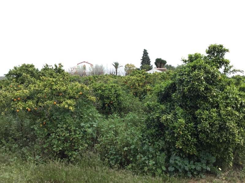 7 sypialnia Finka/Dom wiejski na sprzedaż w Villanueva del Ariscal z basenem garażem - 399 500 € (Ref: 6692864)