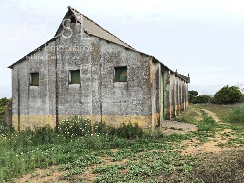 7 sypialnia Finka/Dom wiejski na sprzedaż w Villanueva del Ariscal z basenem garażem - 399 500 € (Ref: 6692864)