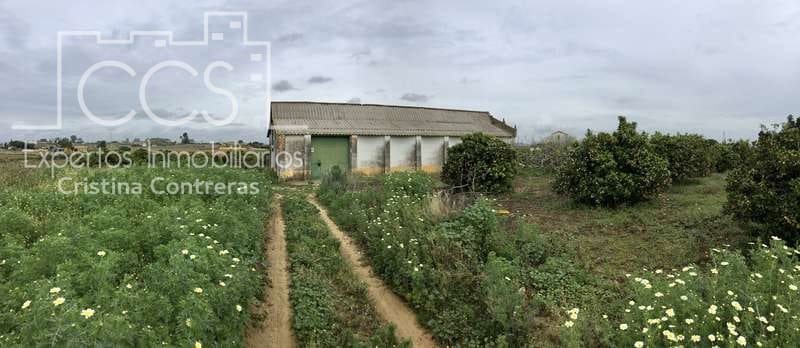 7 sypialnia Finka/Dom wiejski na sprzedaż w Villanueva del Ariscal z basenem garażem - 399 500 € (Ref: 6692864)