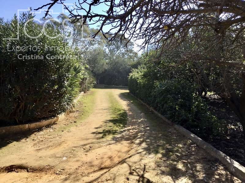 5 soveværelse Villa til salg i Sanlucar la Mayor med swimmingpool - € 350.000 (Ref: 6732498)