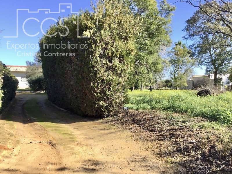 5 soveværelse Villa til salg i Sanlucar la Mayor med swimmingpool - € 350.000 (Ref: 6732498)