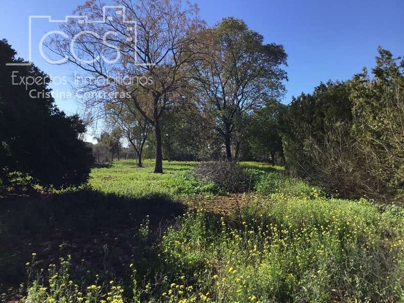 5 soveværelse Villa til salg i Sanlucar la Mayor med swimmingpool - € 350.000 (Ref: 6732498)