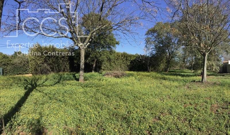 5 soveværelse Villa til salg i Sanlucar la Mayor med swimmingpool - € 350.000 (Ref: 6732498)