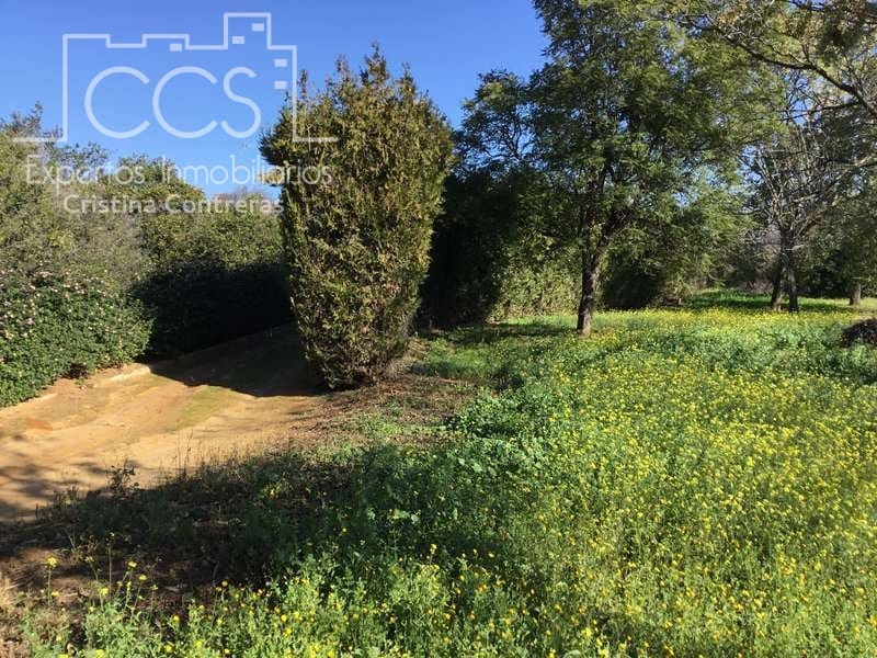 5 soveværelse Villa til salg i Sanlucar la Mayor med swimmingpool - € 350.000 (Ref: 6732498)