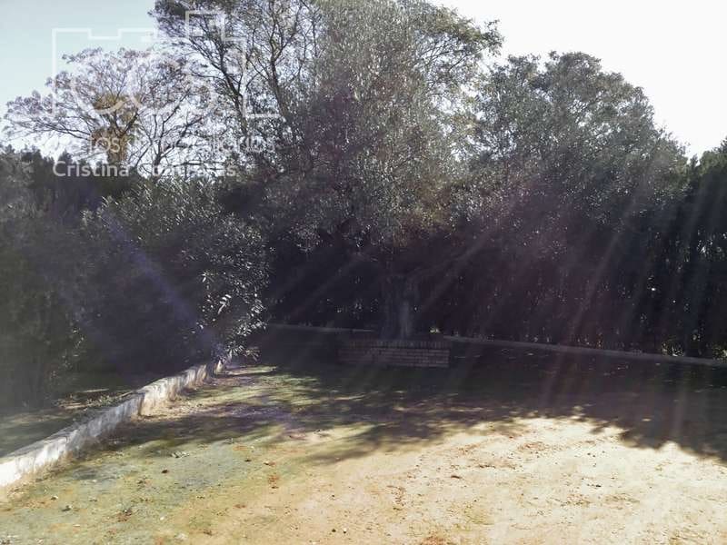 5 soveværelse Villa til salg i Sanlucar la Mayor med swimmingpool - € 350.000 (Ref: 6732498)