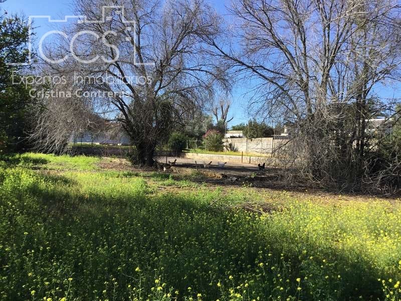 5 soveværelse Villa til salg i Sanlucar la Mayor med swimmingpool - € 350.000 (Ref: 6732498)