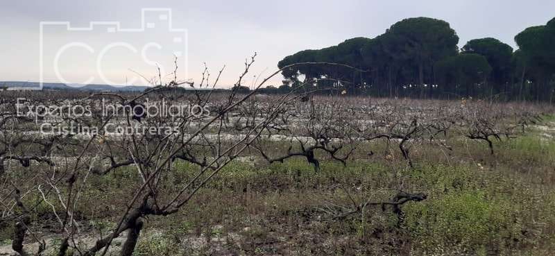 Byggetomt til salgs i Almonte - € 50 000 (Ref: 6732499)