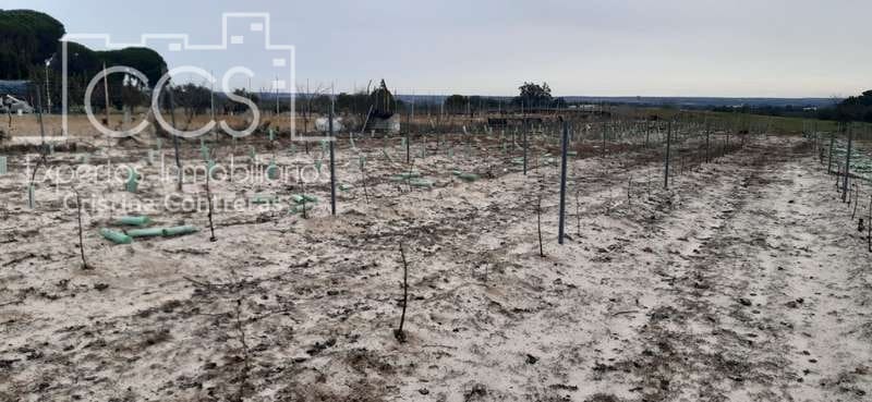 Byggetomt til salgs i Almonte - € 50 000 (Ref: 6732499)