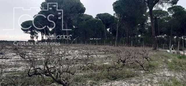 Building Plot for sale in Almonte - € 50,000 (Ref: 6732499)