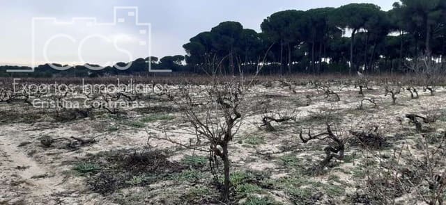 Building Plot for sale in Almonte - € 50,000 (Ref: 6732499)