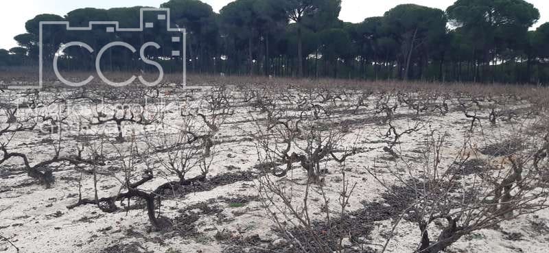 Byggetomt til salgs i Almonte - € 50 000 (Ref: 6732499)