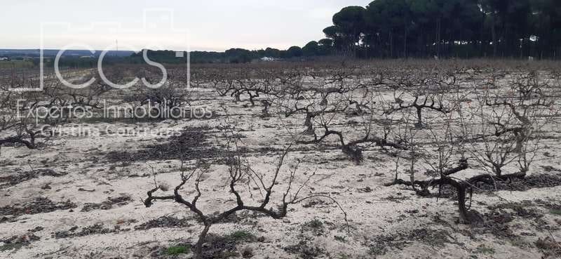 Byggetomt til salgs i Almonte - € 50 000 (Ref: 6732499)