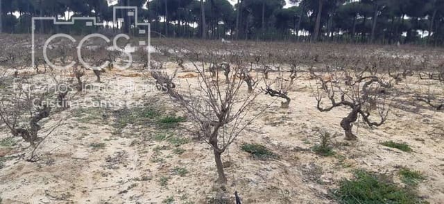 Building Plot for sale in Almonte - € 50,000 (Ref: 6732499)